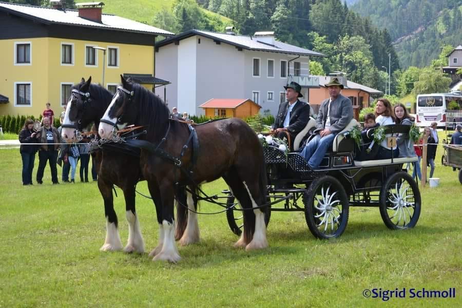 Juni 2020|Covid-19- Auszeit vorbei!!!